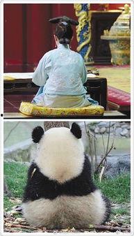 喵星娱乐吃瓜群众视频,揭秘吃瓜群众背后的精彩瞬间