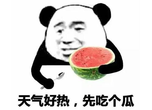 娱乐圈吃瓜白底图表情包